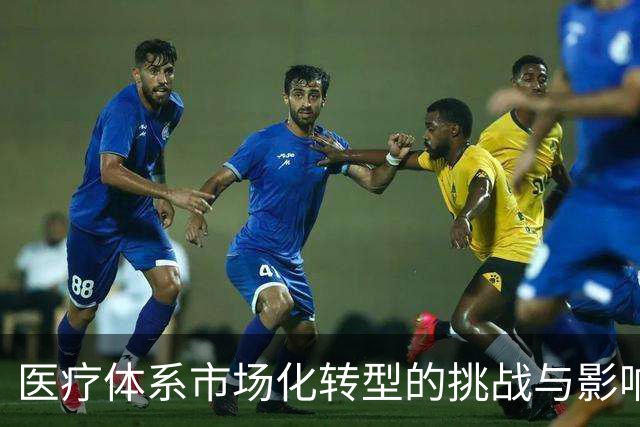 医疗体系市场化转型的挑战与影响分析